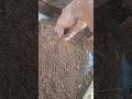 hasilnya gemur sekali