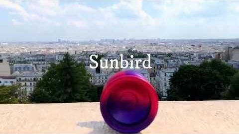 Williams Thamrong X yoyofriends Sunbird in Paris