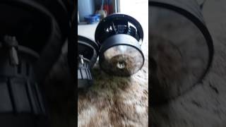 sundown x12 vs kicker cvx