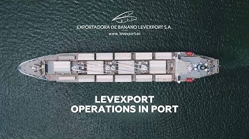 Levexport operations in port #distributor #Ecuador #bananas  #banana
