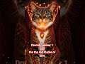 DracattZ number 1 Dax the red flame of wrath. #KravaNverse #DaxDracatz #Dracatz# #memes