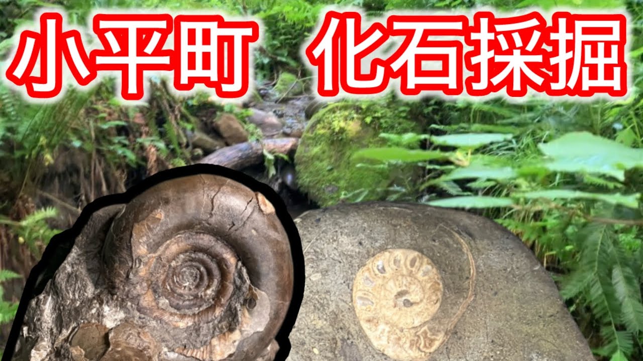 ジムニーでも走行不可‼️化石の宝庫小平町✨マジでやばかった