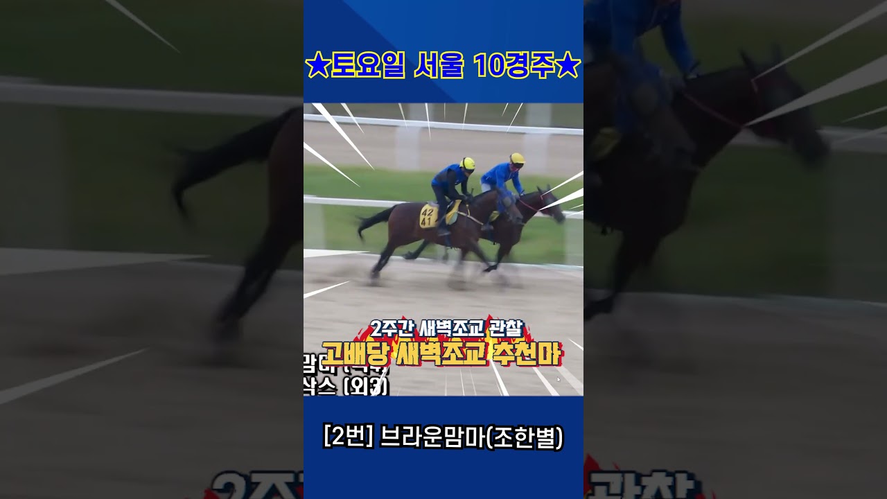 9월19일 토요일 서울 10경주!! 2주간 훈련보인 강백호의 새벽조교 쏘스마!!