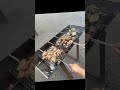#shortvideo #cuocsong #amthuc lầm đầu tham gia BBQ tại cty 😁