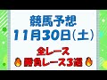 【競馬予想】１１月３０日（土）全レース予想／厳選３レース(平場予想・重賞予想)