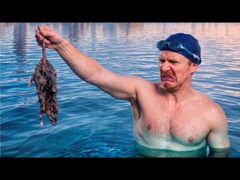 The Brutal Reality of Swimming in NYC (What Nobody Tells You!)