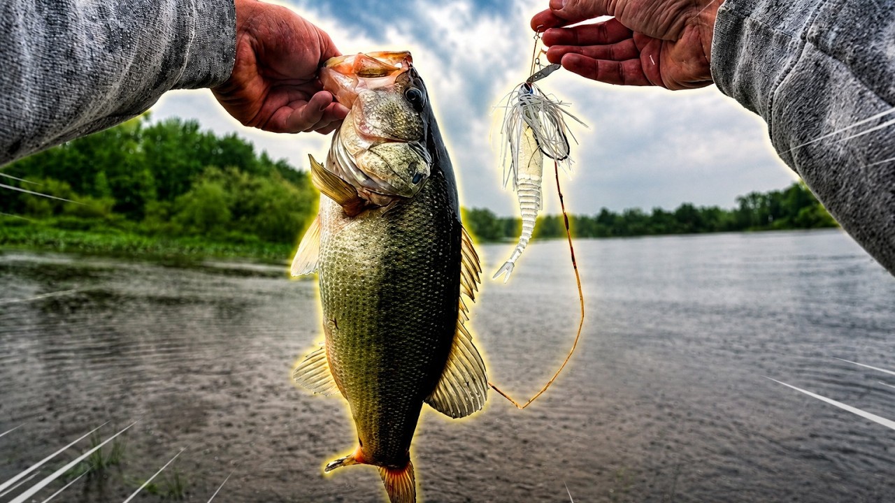 Bank Fishing for BIG Bass in the Rain!