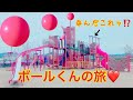 ボールくんの旅　いないいないばあ　ボールコロコロ　PART29