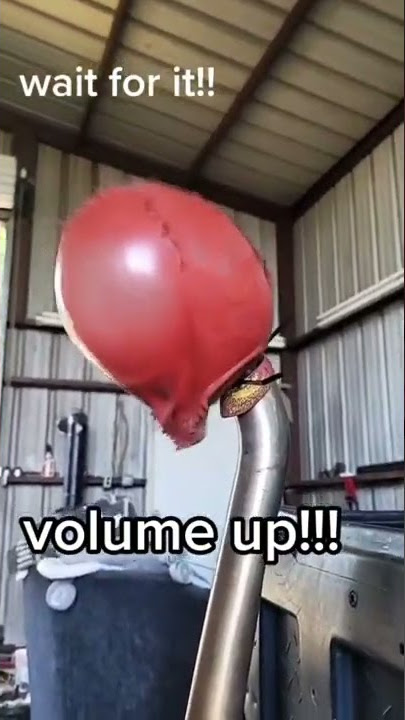 Sus Shed Sounds 🤣🤣