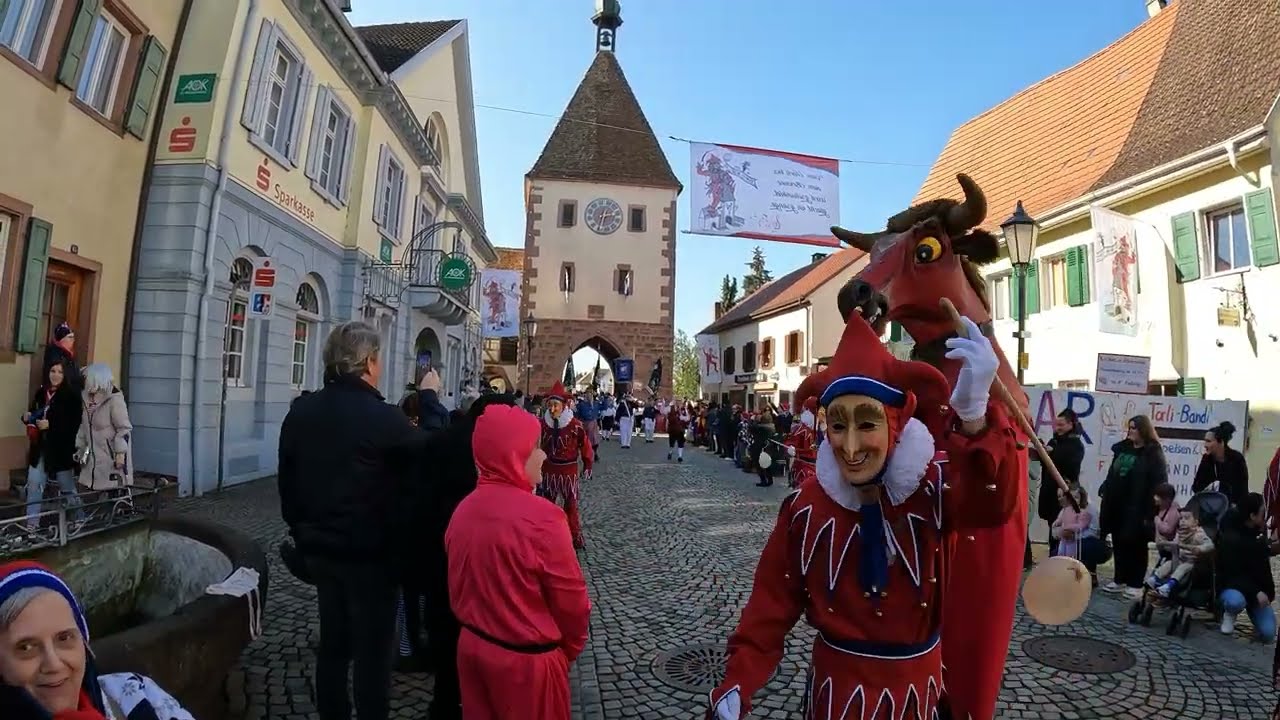 Fasnetumzug Endingen am Kaiserstuhl vom 03 03 2025