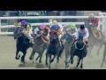 Betting on the Horse Race-VLOG