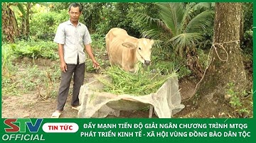 STV - Đẩy mạnh tiến độ giải ngân chương trình MTQG phát triển kinh tế - xã hội vùng đồng bào dân tộc