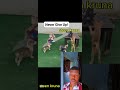 🐶who will take the crown #dogs #dog #dogshorts #doglife