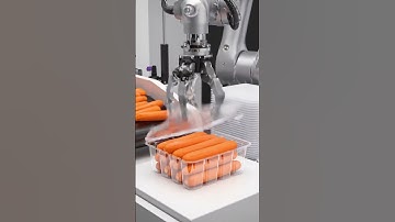🤯 They Built The Perfect Factory: Robots Harvest, Process, and Eliminate ALL Waste