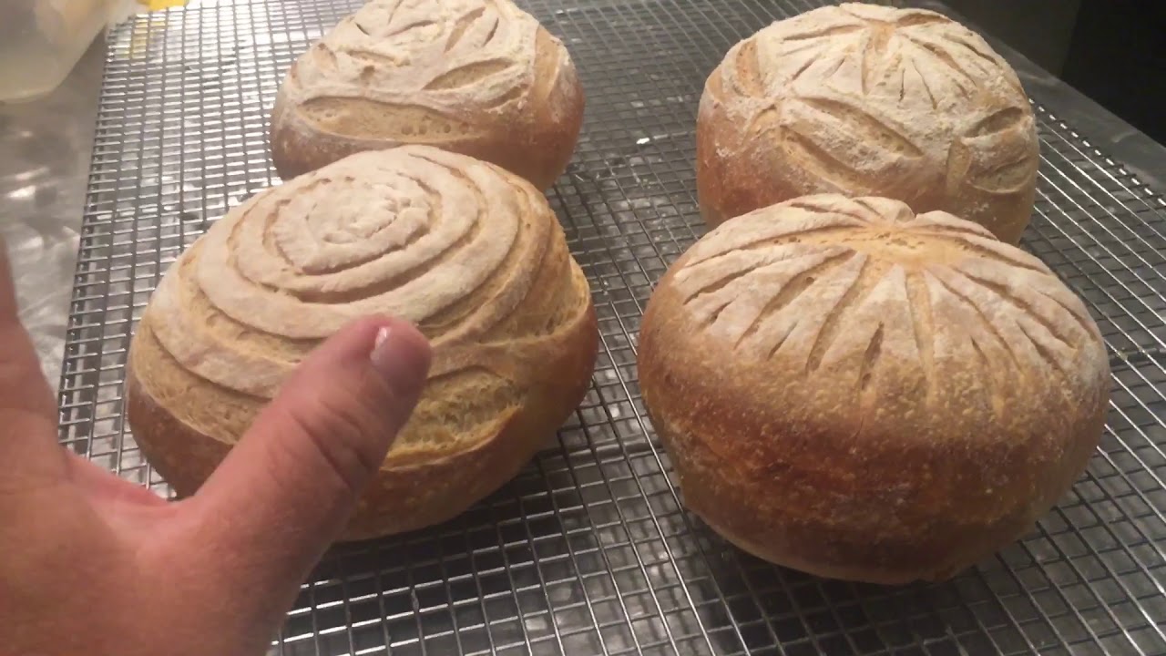 Sourdough Rounds Mini Sourdough Rounds - YouTube
