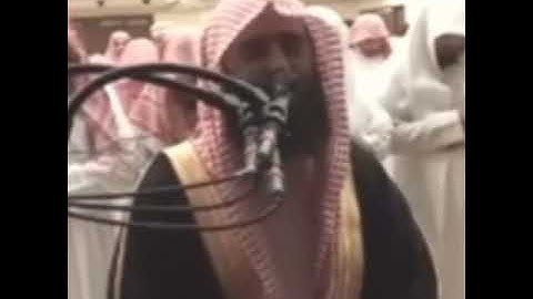 اية لا يسمعون فيها لغوا إلا سلاما( سورة مريم( القارئ محمد اللحيداني
