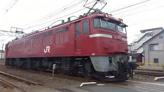 【2024/03/28】EF81単機通過　鶴見線205系廃車回送送り込み　　