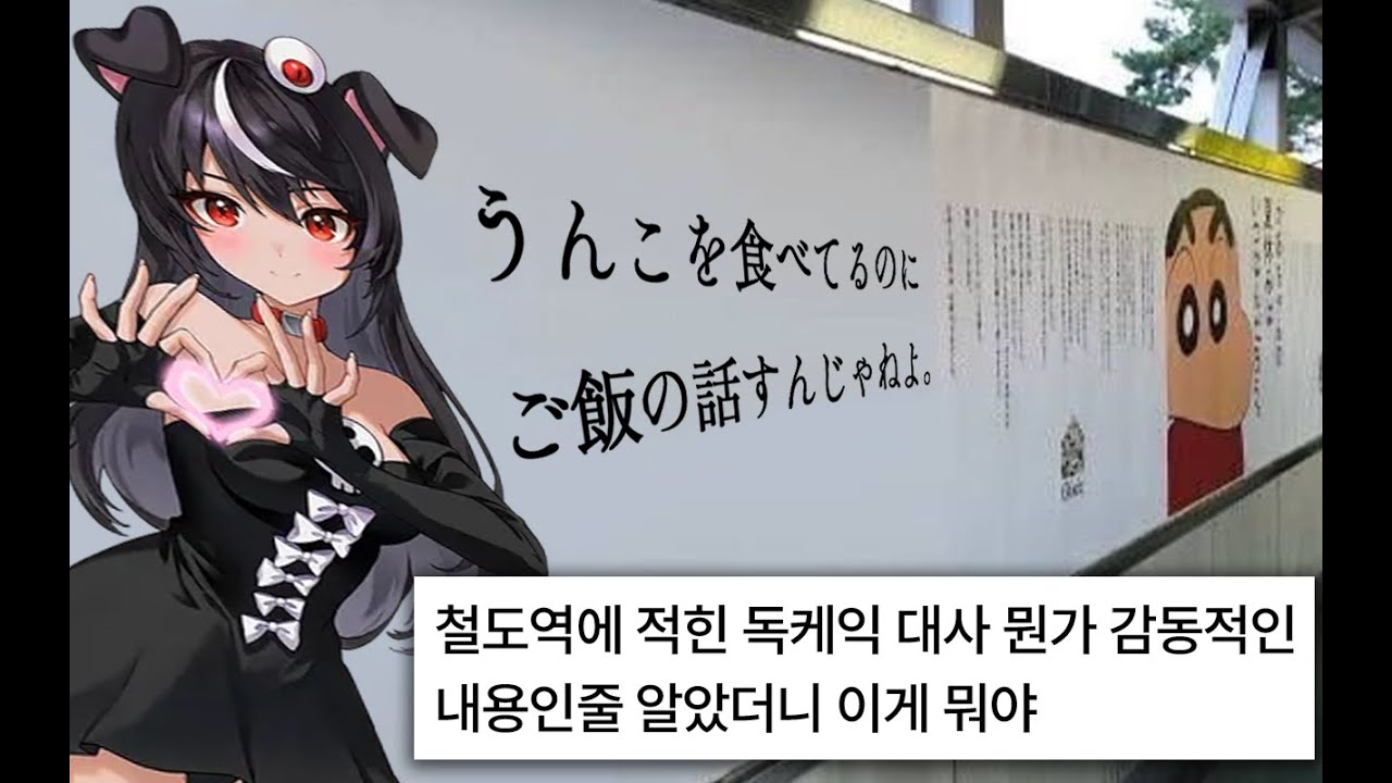 밥 먹을 때 보기 좋은 독케익