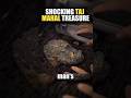 SHOCKING TAJ MAHAL TREASURE WORTH MILLIONS!! 🇮🇳🪷