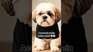 Salary Aayi Aur  Gayi 😭💸 | Middle Class Life #shorts #rio #viral  #funny