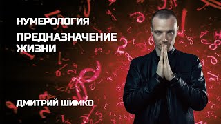 ПРЕДНАЗНАЧЕНИЕ В ГОРОСКОПЕ / ДМИТРИЙ ШИМКО