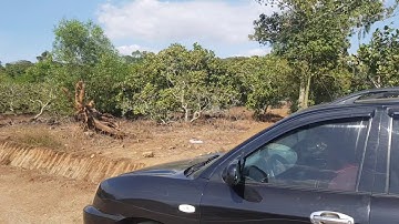 NVT1600 Bán 2,7ha mặt hồ Sông Ray 140m đã làm đường vành đai Hòa Hưng 750tr/sào