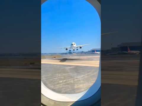 Happy Birthday To You 