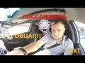 #19 Охреневшая пассажирка в такси, высадил!!! Яндекс Такси!!!