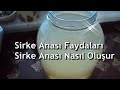 SİRKE ANASI, NASIL OLUŞUR, FAYDALARI, NASIL KULLANILIR, SAKLANIR, Sağlıklı Yaşam | Köy Yolum | Sirke