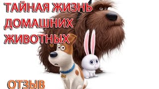 Тайная жизнь домашних животных - отзыв о мультфильме