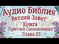 Книга притчей Соломоновых. Глава 23. Аудио Библия. Ветхий Завет. Аудиокнига, читает Денис Гаврилов.