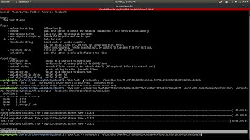 Part 7 of 0Chain Storage - Sync