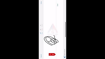 Global Tutorial Video #1 | FORM 956 and Client Contract