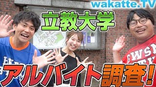 立教大学のアルバイト調査！あの子も再び登場！【wakatte.TV】#226