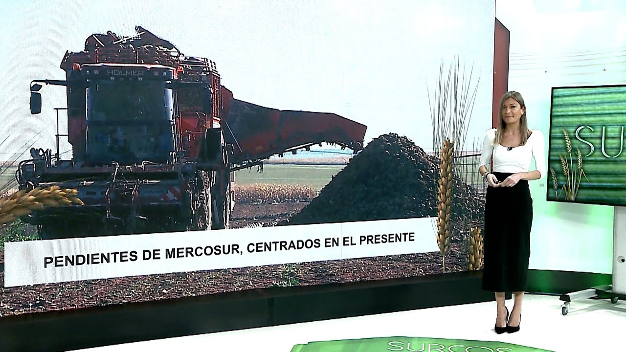 T17/E18: Novedades del acuerdo con los países del Mercosur