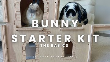 Bunny Starter Kit | What you need when bringing home a new bunny