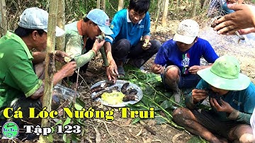 cá lóc nướng trui mỗi người một con ăn vậy mới đúng chất miền tây | Phần 2 | NGÃ NĂM TV | Tập 123