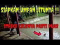 mancing dikolam khusus lele babon pokoknya mantap strikenya!