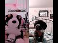 Duet With Those Helping Doggiez Duet Essa Essacommunity Silly S0da 