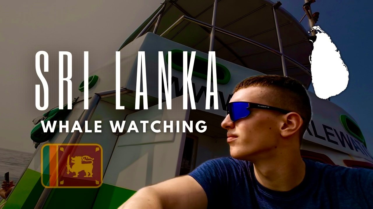 🐋I did a WHALE WATCHING TOUR & COOKING CLASS🥘 in Mirissa, Sri Lanka! | Day 14