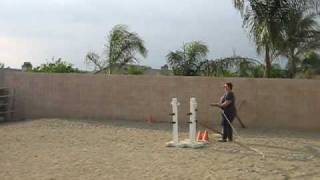 Free jumping 3'6"