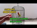 beberapa cara menggoda lovebird agar ngekek