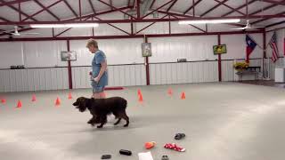 Murphy-Board and Train Program