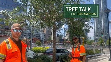 Tree Talk: Tree Inventory