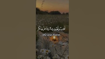 تلاوة في غاية الجمال___بصوت القارئ (#احمد_النفيس) #القرآن_الكريم #راحة_نفسية #duet #اكسبلور #قران