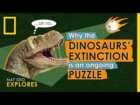 Video: What Made The Dinosaurs Extinct? New Theory - Alternative View