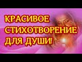 "Девушка пела в церковном хоре" Александр Блок. Любимые стихи. ОЧЕНЬ КРАСИВЫЙ СТИХ!