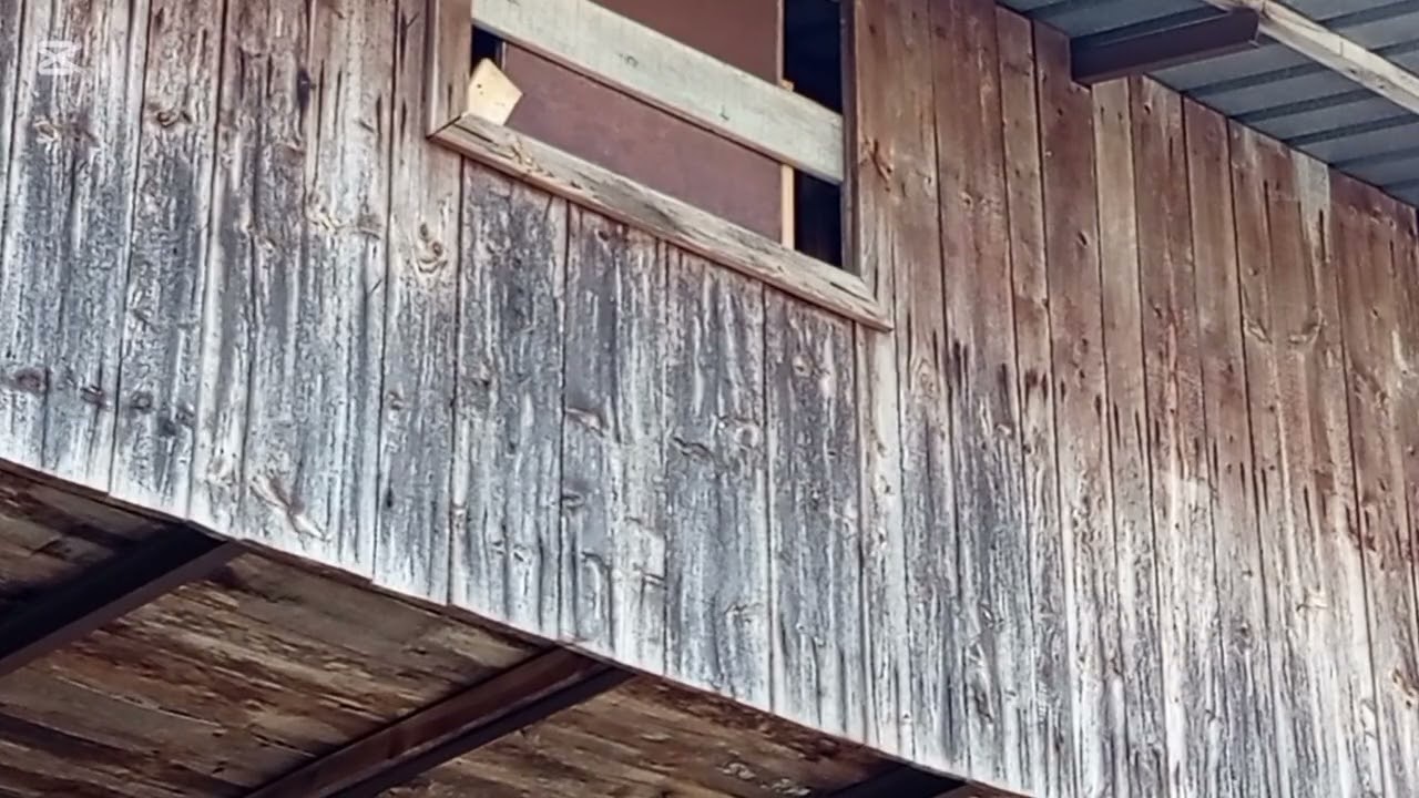 Dzwonienie moich dzwonów. Nagranie z zewnątrz