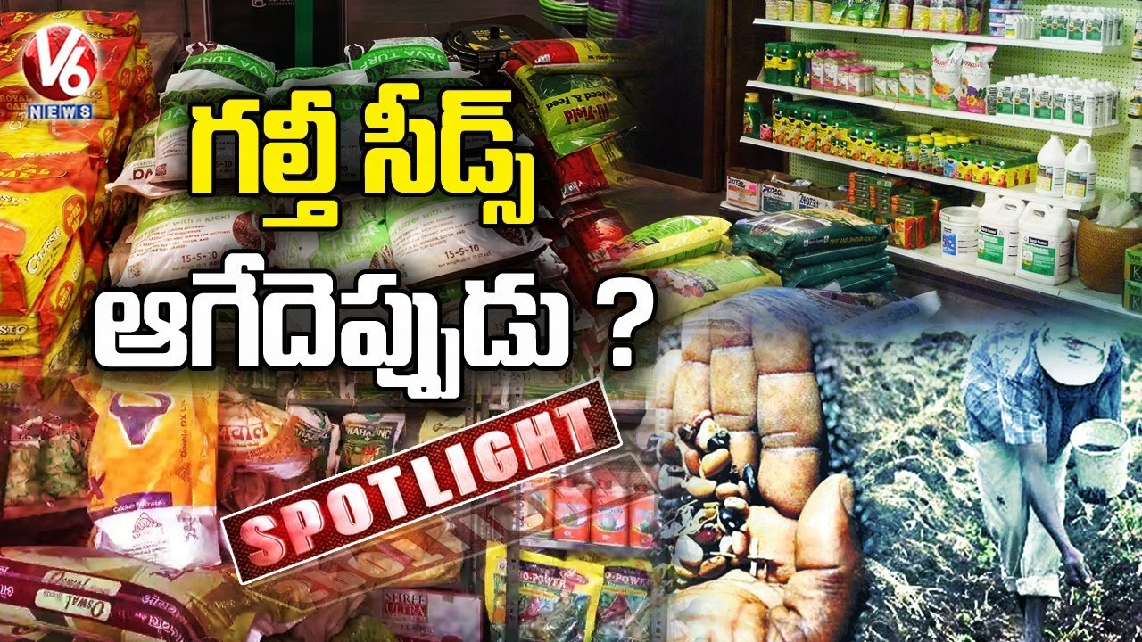 గల్తీ సీడ్స్ ఆగేదెప్పుడు ?.. Fake Seeds Selling Mafia Increasing In State | V6 Spotlight