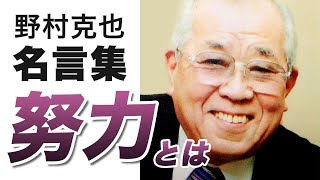 【野村克也 名言集】努力とは